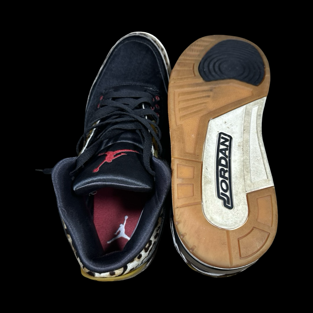 Jordan 3 Animal Instinct 47.5