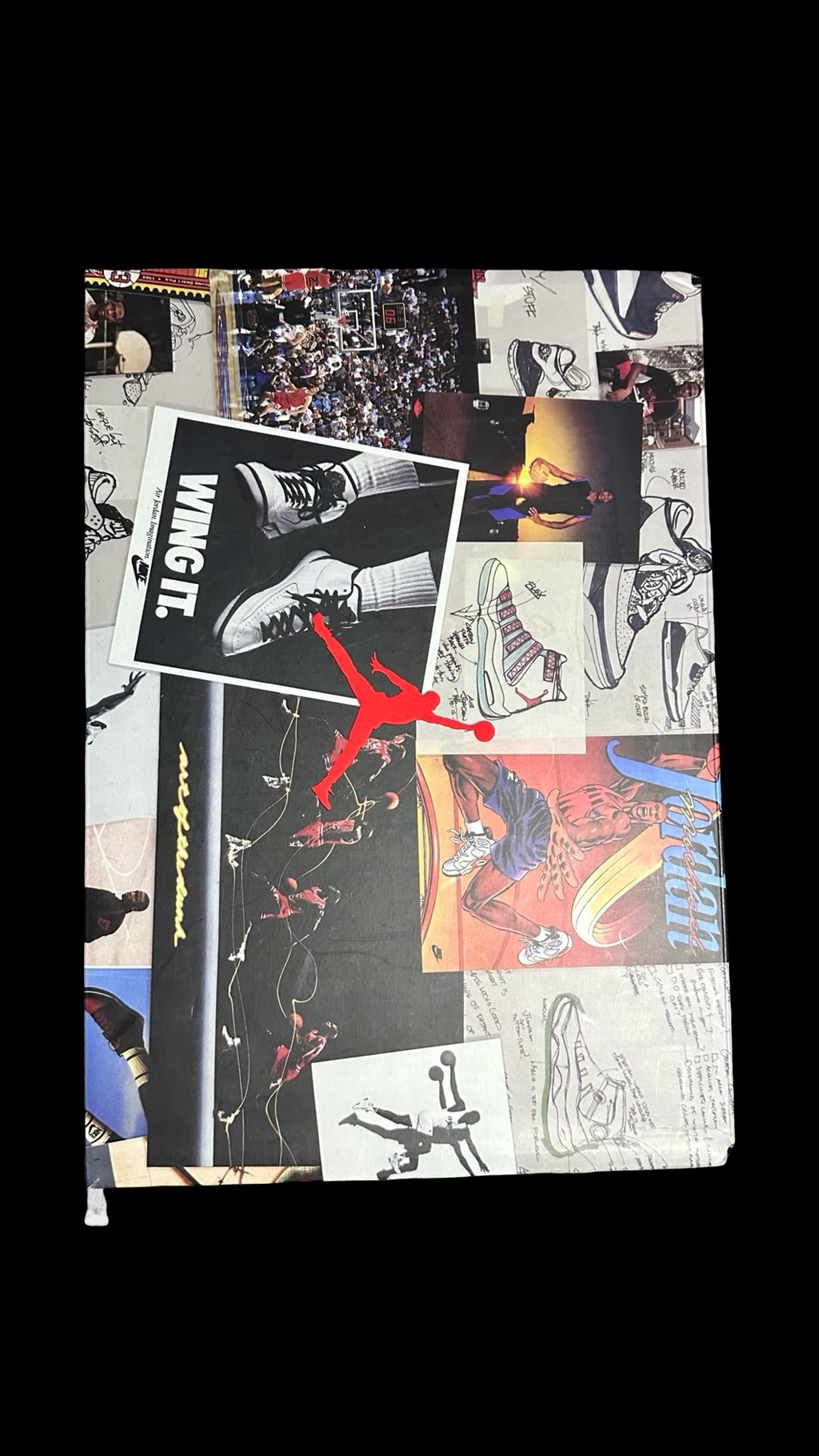 Jordan 3 Animal Instinct 42.5