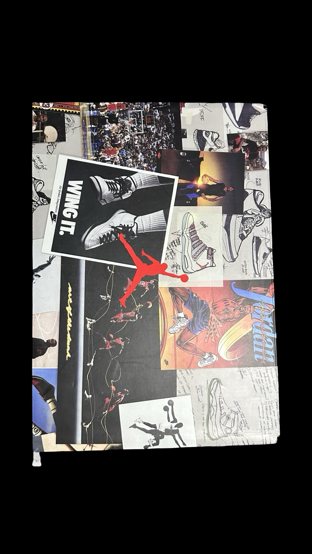 Jordan 3 Animal Instinct 42.5